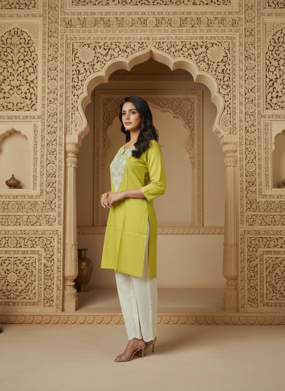 Floral Embroidered Notch Neck Straight Kurtis