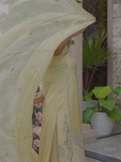Timeless Embroidered Kurta Ensemble